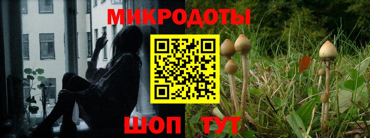 Псилоцибиновые грибы Cubensis Учалы