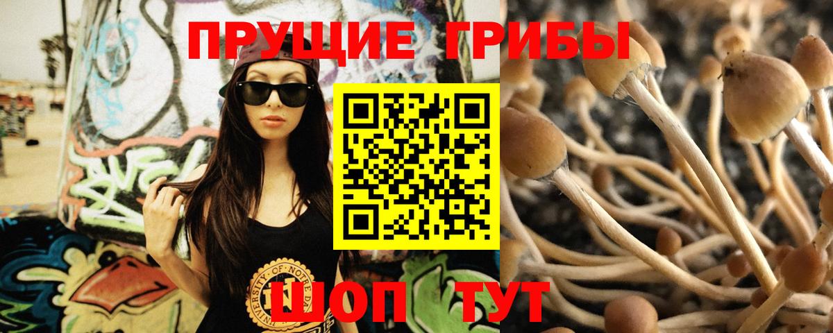Галлюциногенные грибы MAGIC MUSHROOMS  цена   Учалы  Вход с VPN 