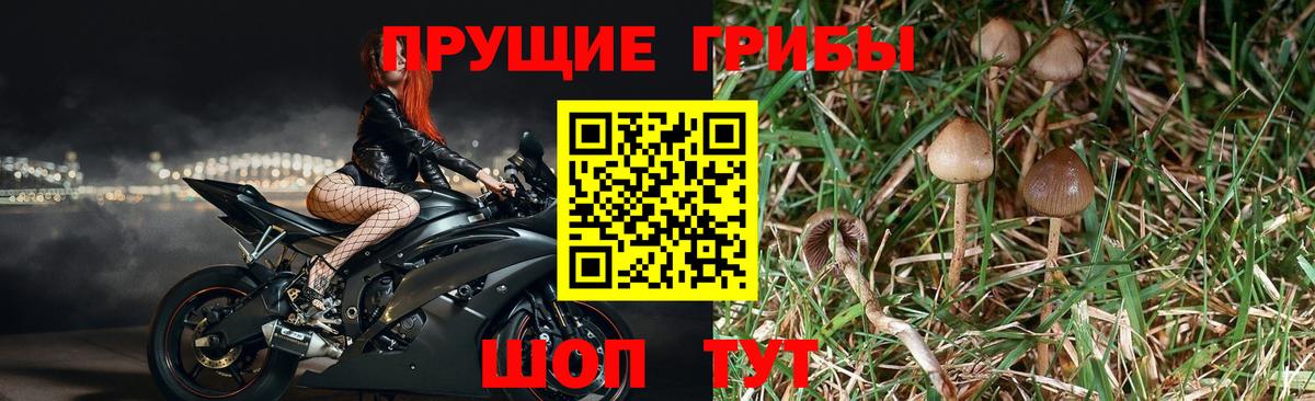Alpha-PVP СК кристаллы  Учалы  МАРИХУАНА  COCAIN  МЕФ   Вход с VPN  ГАШИШ  Гашиш 